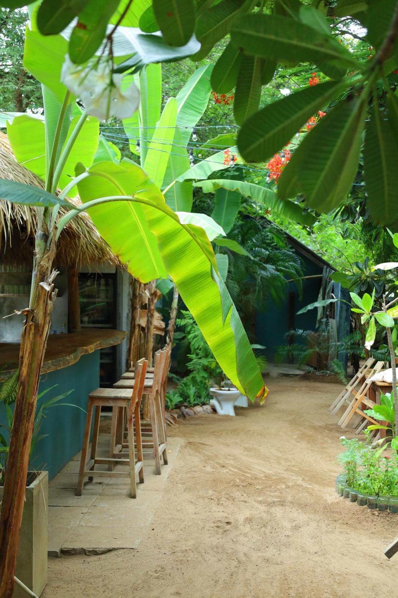 Waypoint Arugam Bay Hostel Kültér fotó